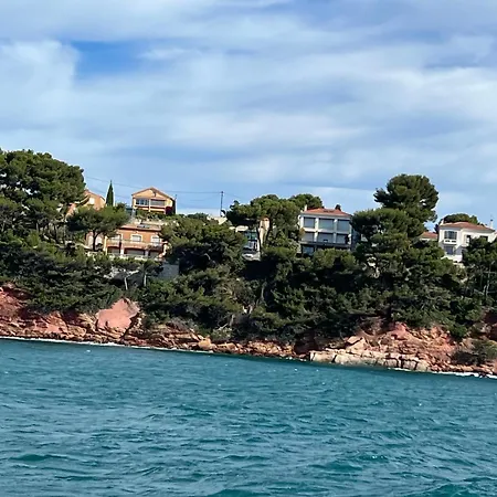 Lejlighed Breathtaking Mediterranean Views From Renovated Cosy Nest, Walk To Portissol And Port Sanary-sur-Mer