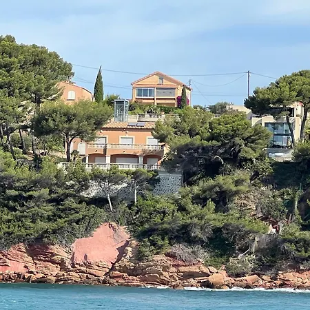 Breathtaking Mediterranean Views From Renovated Cosy Nest, Walk To Portissol And Port Lejlighed